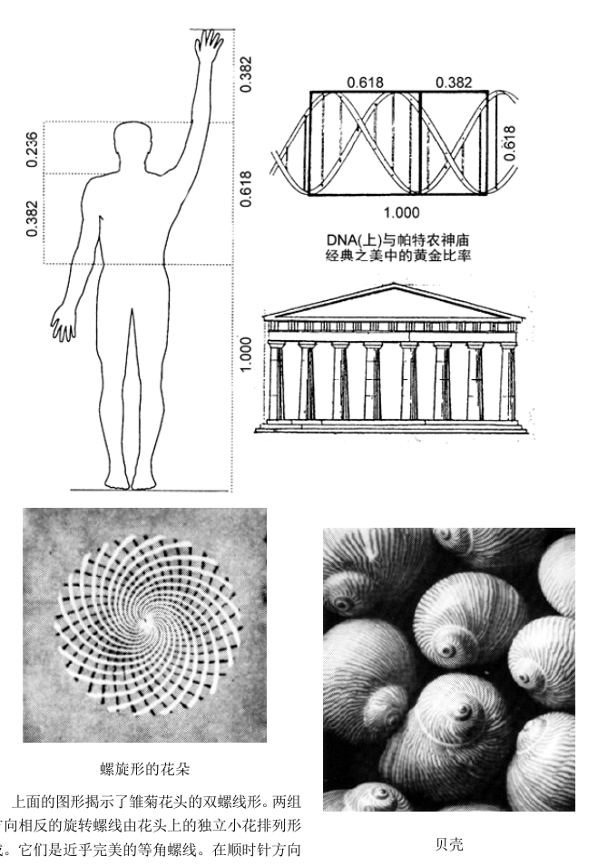 第11版补充图示 1