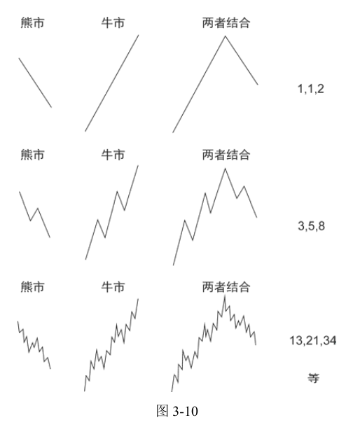 第11版补充图示 2