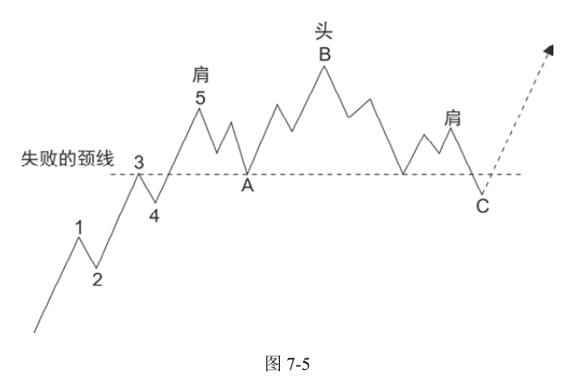 第11版补充图示 2